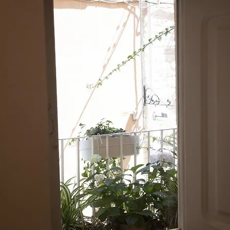 La Pupa Coi Baffi Apartmán